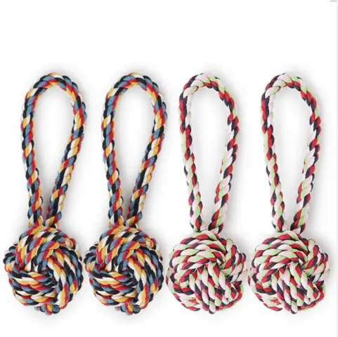 Đồ Chơi Dây Thừng Cho Chó: Lợi Ích, Cách Chọn Và Hướng Dẫn Sử Dụng An Toàn