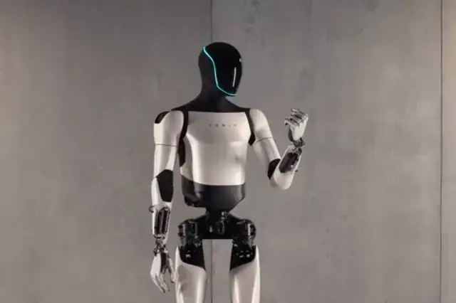 Đồ Dùng Huấn Luyện Chó: Hướng Dẫn Chọn Lựa Và Sử Dụng Hiệu Quả Cho Người Mới Bắt Đầu