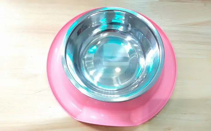 Bát Ăn Chống Kiến