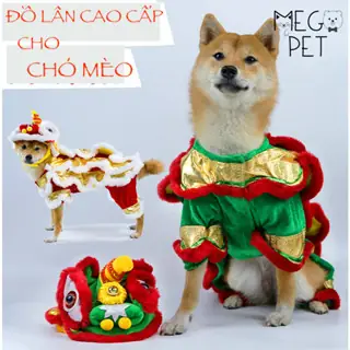 Đồ Kỳ Lân Cho Chó: Hướng Dẫn Chi Tiết Từ A-z Đồ Kỳ Lân Cho Chó: Hướng Dẫn Chi Tiết Từ A-z