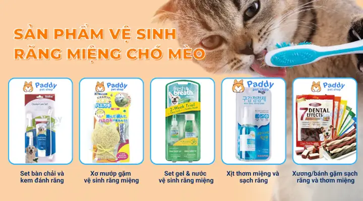 Xơ Mướp Cattymangặm Vệ Sinh Răng Miệng Chó Mèo Xơ Mướp Cattymangặm Vệ Sinh Răng Miệng Chó Mèo