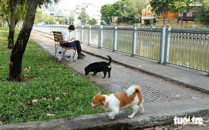 Xử Lý Nhanh Trên Cổng 1022