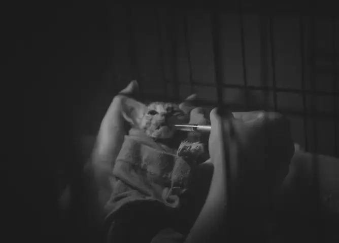 Khi Đội Cứu Hộ Cần Được... Cứu Hộ