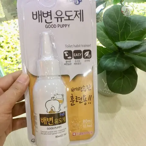 Hướng Dẫn Sử Dụng Dung Dịch Giúp Chó Đi Vệ Sinh Đúng Chỗ Hiệu Quả