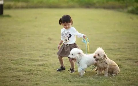 Em Bé Chơi Với Chó: Lợi Ích Phát Triển Toàn Diện Và Hướng Dẫn An Toàn Cho Phụ Huynh