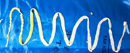 Fugacar Có Trị Sán Chó Fugacar Có Trị Sán Chó