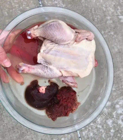 Gà Nguyên Con Cho Chó: Lợi Ích, Rủi Ro Và Cách Cho Ăn Đúng Chuẩn