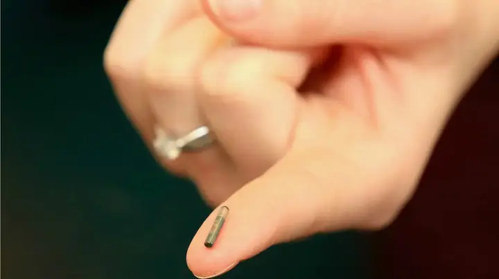 Loại Chip Được Gắn Vào Thú Cưng - Ảnh: Wikimedia