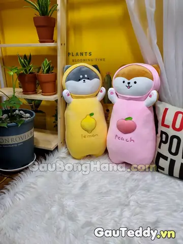 Shop Gấu Teddy Bán Chó Pug Bông Gía Rẻ – Nhiều Mẫu Mới Về 119 – 499k