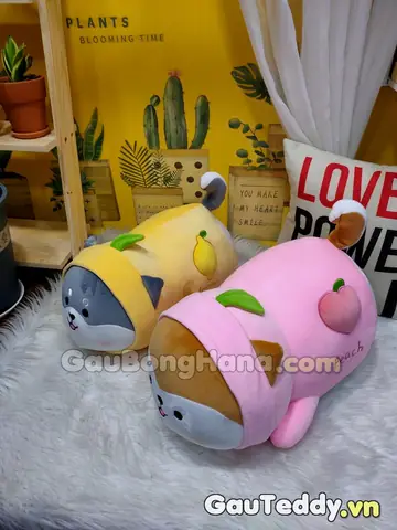 Shop Gấu Teddy Bán Chó Pug Bông Gía Rẻ – Nhiều Mẫu Mới Về 119 – 499k