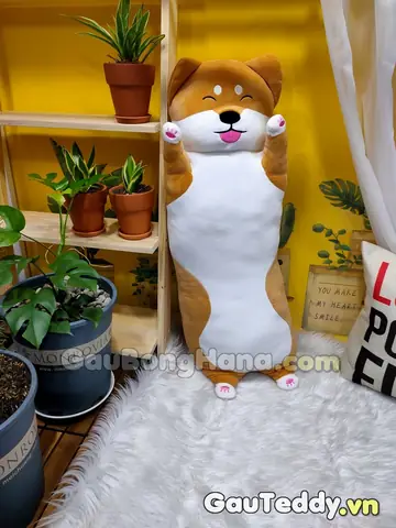 Shop Gấu Teddy Bán Chó Pug Bông Gía Rẻ – Nhiều Mẫu Mới Về 119 – 499k