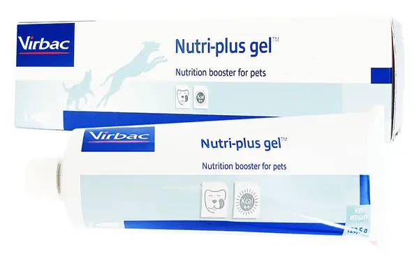 Gel Dinh Dưỡng Cho Chó Mèo Nutri Plus Gel Có Tốt Không?