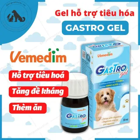 Dấu Hiệu Nhận Biết Chó Biếng Ăn Cần Can Thiệp