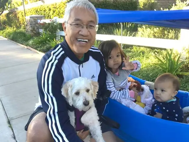 German Shepherd Là Chó Gì