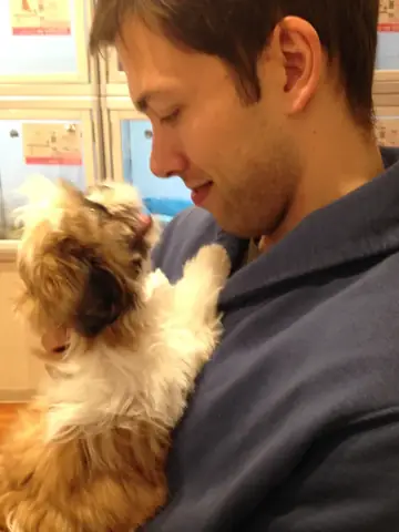 Làm Thế Nào Để Mua Một Con Chó Con Ở Nhật Bản Làm Thế Nào Để Mua Một Con Chó Con Ở Nhật Bản