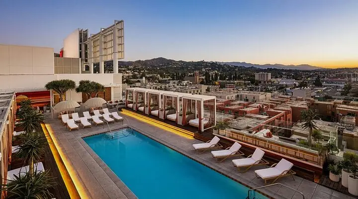 Nguồn Gốc Lịch Sử Và Đặc Điểm Nổi Bật Của Chó Xoáy Nam Phi Nguồn Gốc Lịch Sử Và Đặc Điểm Nổi Bật Của Chó Xoáy Nam Phi