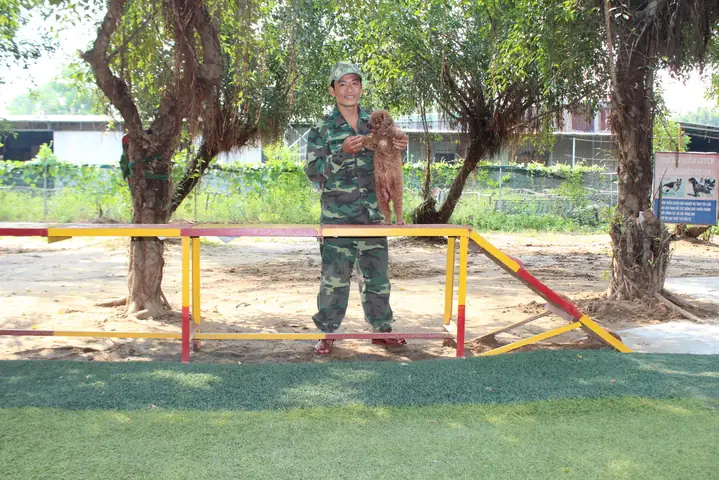 Học Phí Như Thế Nào?