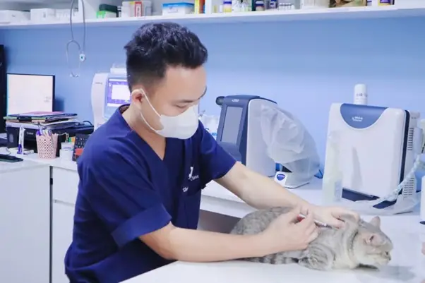 Tiêm Thuốc Điều Trị