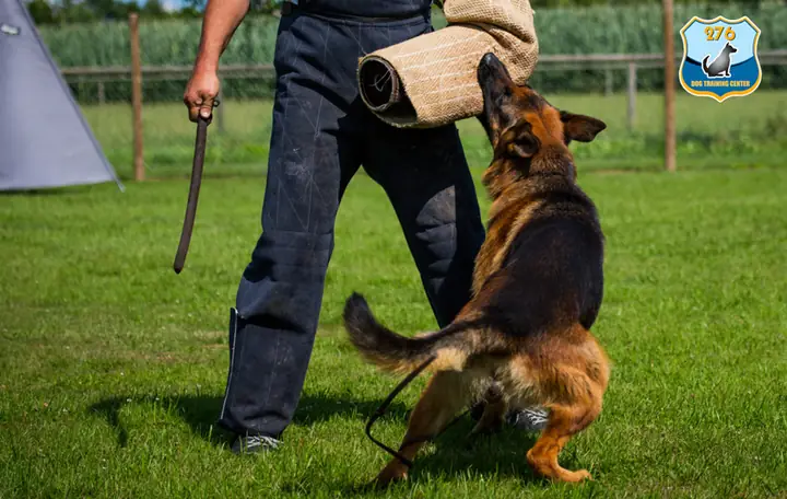 Câu Hỏi Thường Gặp (faqs)