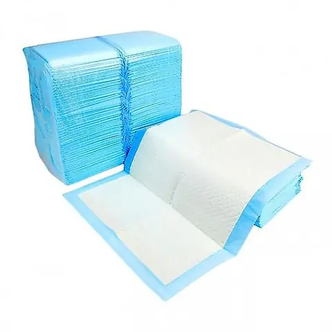 Giấy Lót Khay Vệ Sinh Cho Chó: Hướng Dẫn Chi Tiết Từ Chuyên Gia Chăm Sóc Động Vật