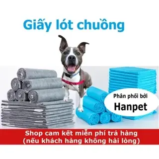 Giấy Lót Vệ Sinh Chó Mèo: Hướng Dẫn Chọn Mua Và Sử Dụng Hiệu Quả Cho Thú Cưng