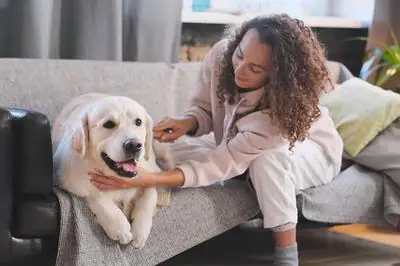 Lựa Chọn Những Yếu Tố Quan Trọng Khi Chọn Chó Cảnh Lựa Chọn Những Yếu Tố Quan Trọng Khi Chọn Chó Cảnh