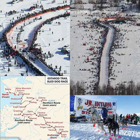 Iditarod Trail Sled Dog Race