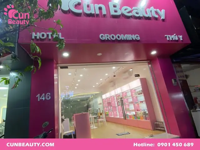 Cún Beauty – Địa Chỉ Trông Giữ Chó Mèo Bình Thạnh An Toàn Và Uy Tín