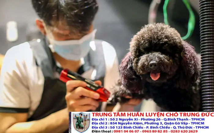 Những Điểm Nổi Bật Khi Đến Với Chúng Tôi Những Điểm Nổi Bật Khi Đến Với Chúng Tôi