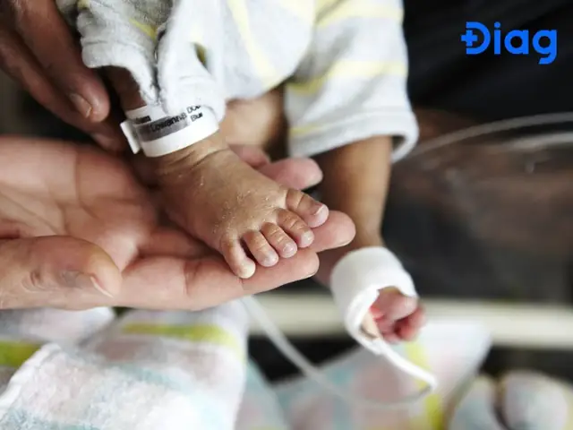 Em Bé Có Thể Bị Lây Giun Đũa Chó Từ Mẹ Không? Những Rủi Ro Sức Khỏe