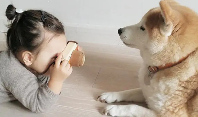 Cần Lưu Ý Gì Khi Nuôi Chó Mèo Trong Nhà Có Trẻ Nhỏ?