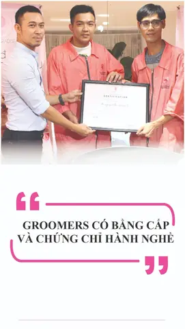 Dịch Vụ Grooming Cắt Tỉa Lông Chó Mèo