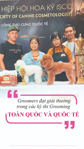 Dịch Vụ Grooming Cắt Tỉa Lông Chó Mèo