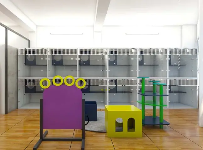 Những Điều Cần Lưu Ý Khi Chọn Dịch Vụ Gửi Chó Mèo Hà Nội Những Điều Cần Lưu Ý Khi Chọn Dịch Vụ Gửi Chó Mèo Hà Nội