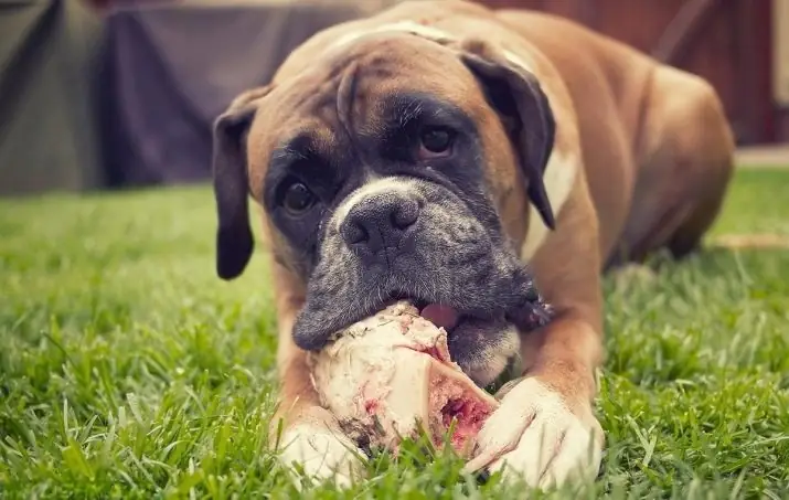 Có Một Lợi Ích?