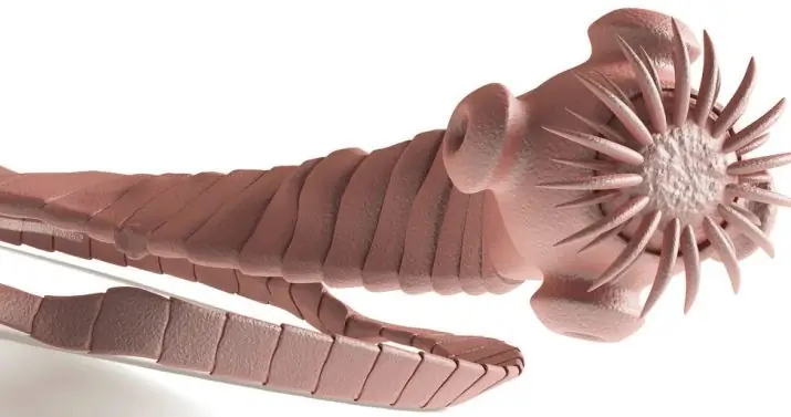 Tại Sao Nó Lại Nguy Hiểm?