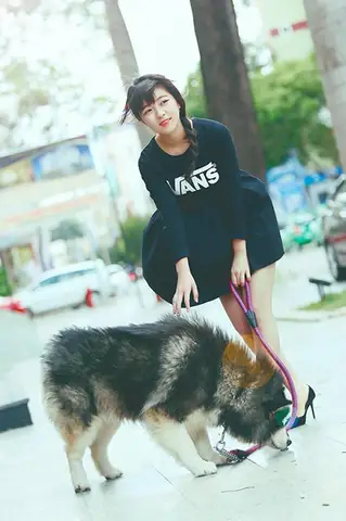 Â Nhá»¯ng Hã¬nh Áº£nh Äã¹a Nghá»ch Cá»§a Ná»¯ Sinh Ääk Läk Vã Chãº Chã³ Alaskan