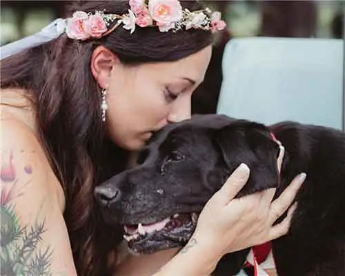 Cô Chủ Hôn Tạm Biệt Chú Chó Của Mình Cô Chủ Hôn Tạm Biệt Chú Chó Của Mình