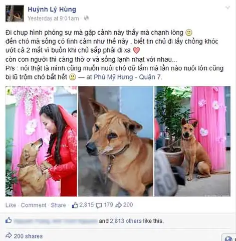 Chú Chó Bịn Rịn Khi Cô Chủ Về Nhà Chồng