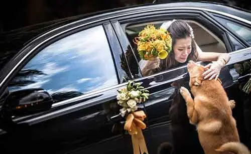 Cô Chủ Đi Lấy Chồng :( Cô Chủ Đi Lấy Chồng :(