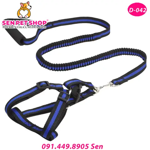 Xem Hình Ảnh Chi Tiết Dây Xích Chó Co Dãn