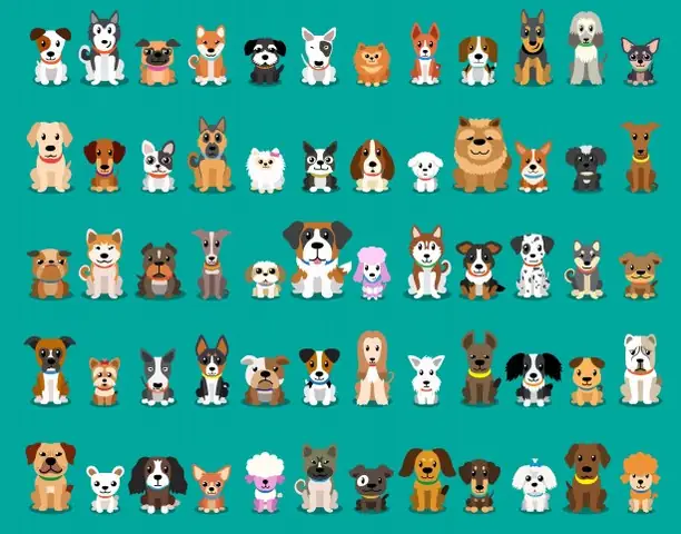 Khám Phá Thế Giới Chó: Hình Ảnh Và Đặc Điểm Các Giống Loài