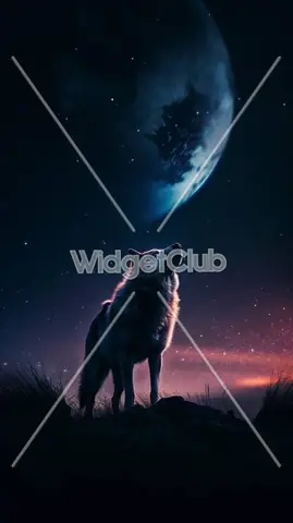 Tiếng Sói Hú Dưới Ánh Trăng Tiếng Sói Hú Dưới Ánh Trăng