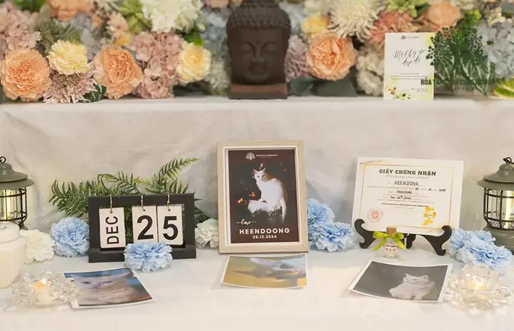 Hỏa Thiêu Mèo – Sự Lựa Chọn Trang Trọng Và Vệ Sinh