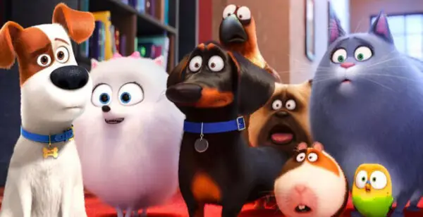 Hoạt Hình Con Mèo Con Chó: Thế Giới Đáng Yêu Qua Góc Nhìn Động Vật Học