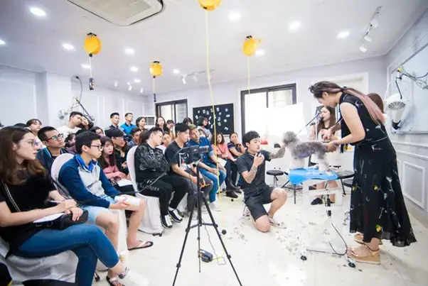Cơ Hội Nghề Nghiệp Sau Khi Học Xong Cắt Tỉa Lông Chó Mèo