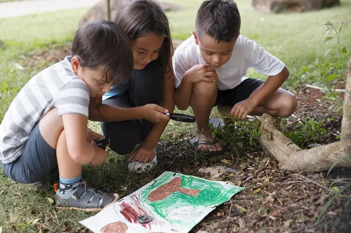 Thông Tin Về Giun Đũa Chó Mèo