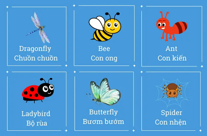 Từ Vựng Tiếng Anh Chủ Đề Côn Trùng Cho Bé