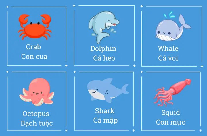 Từ Vựng Tiếng Anh Chủ Đề Con Vật Dưới Nước