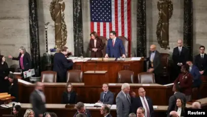 Hội Chó Cảnh Hà Nội: Địa Chỉ Uy Tín Nuôi Dạy & Bảo Tồn Chó Bản Địa